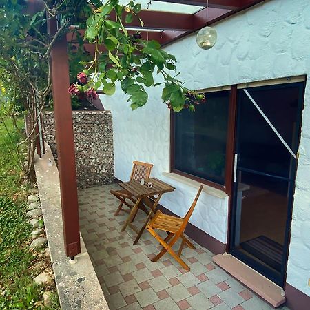 Gemuetliche Wohnung Mit Neckarblick Eberbach  Exteriör bild